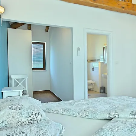 别墅 Modern Gloria With Pool In Novigrad Bužinija