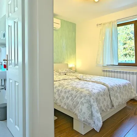 Modern Gloria With Pool In Novigrad Bužinija